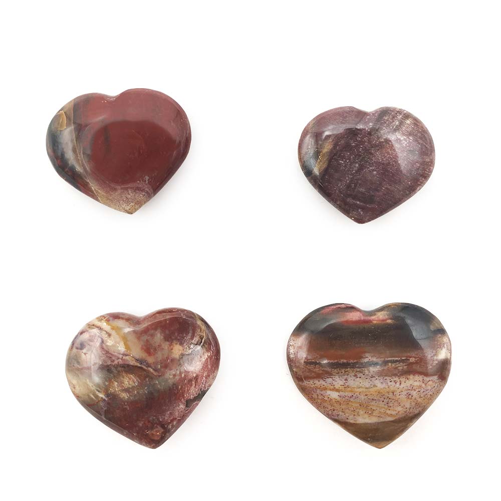 Coeur en Bois Fossilisé