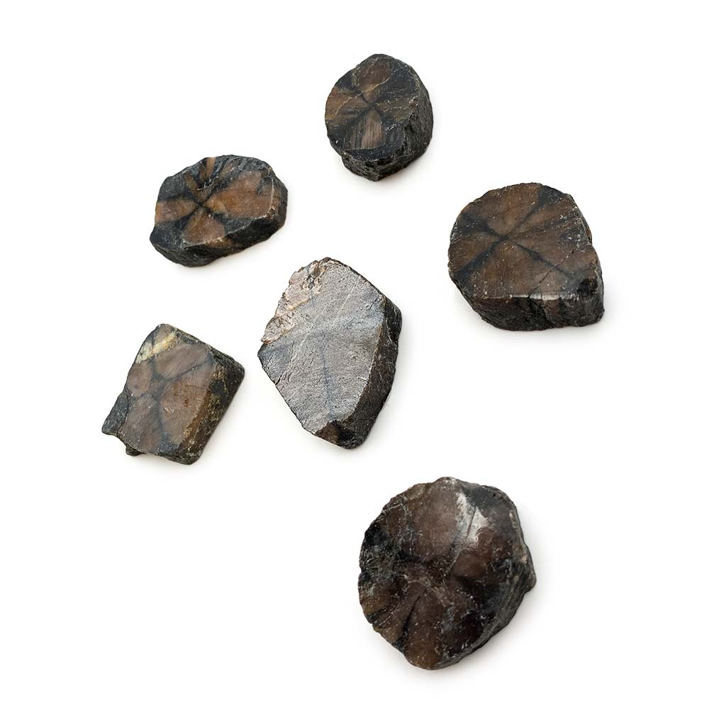 Chiastolite - Pierre Brute Semi Polie