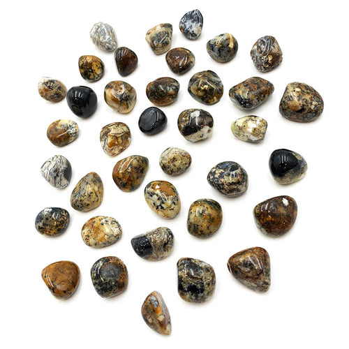 Agate Dendritique - Pierre Roulée