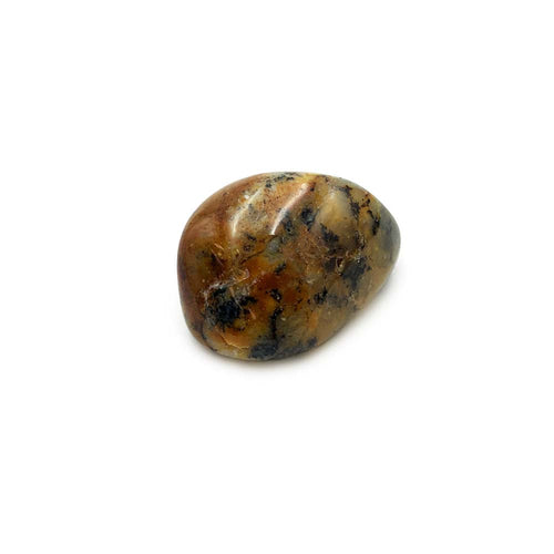 Agate Dendritique - Pierre Roulée