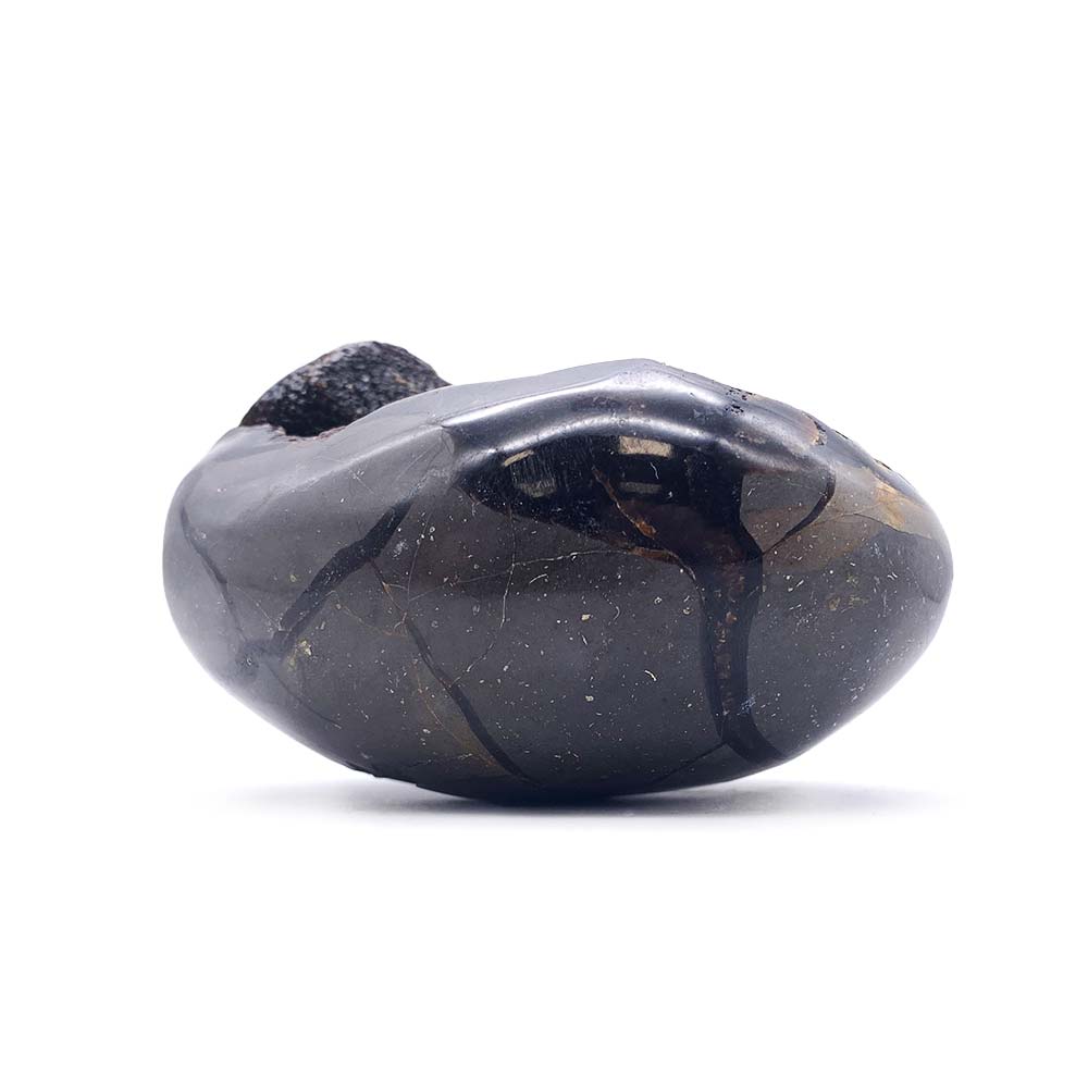Septaria Sauvage Forme Libre - 9 cm