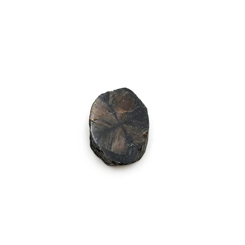 Chiastolite - Pierre Brute Semi Polie