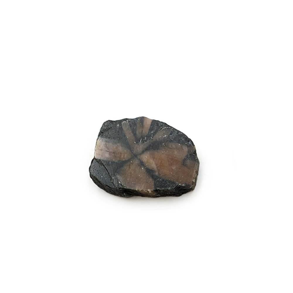 Chiastolite - Pierre Brute Semi Polie