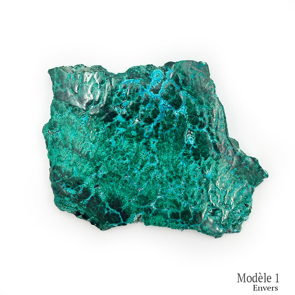 Tranche de Malachite