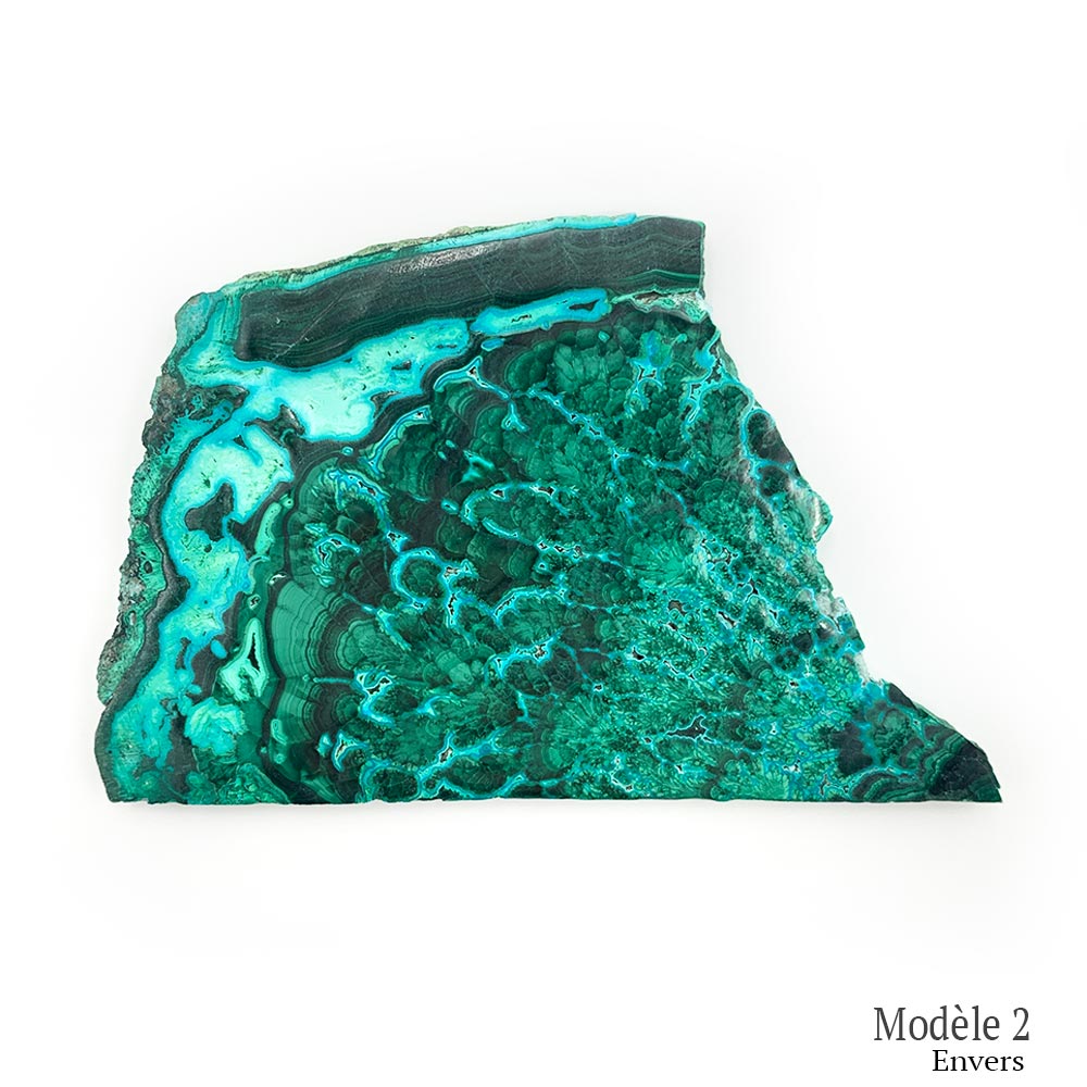 Tranche de Malachite