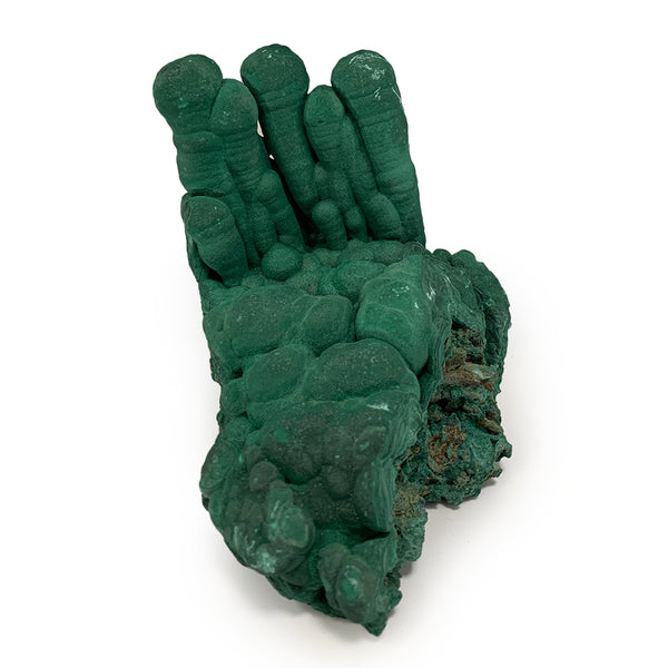 Malachite - Stalactite Brut - 13,5 cm