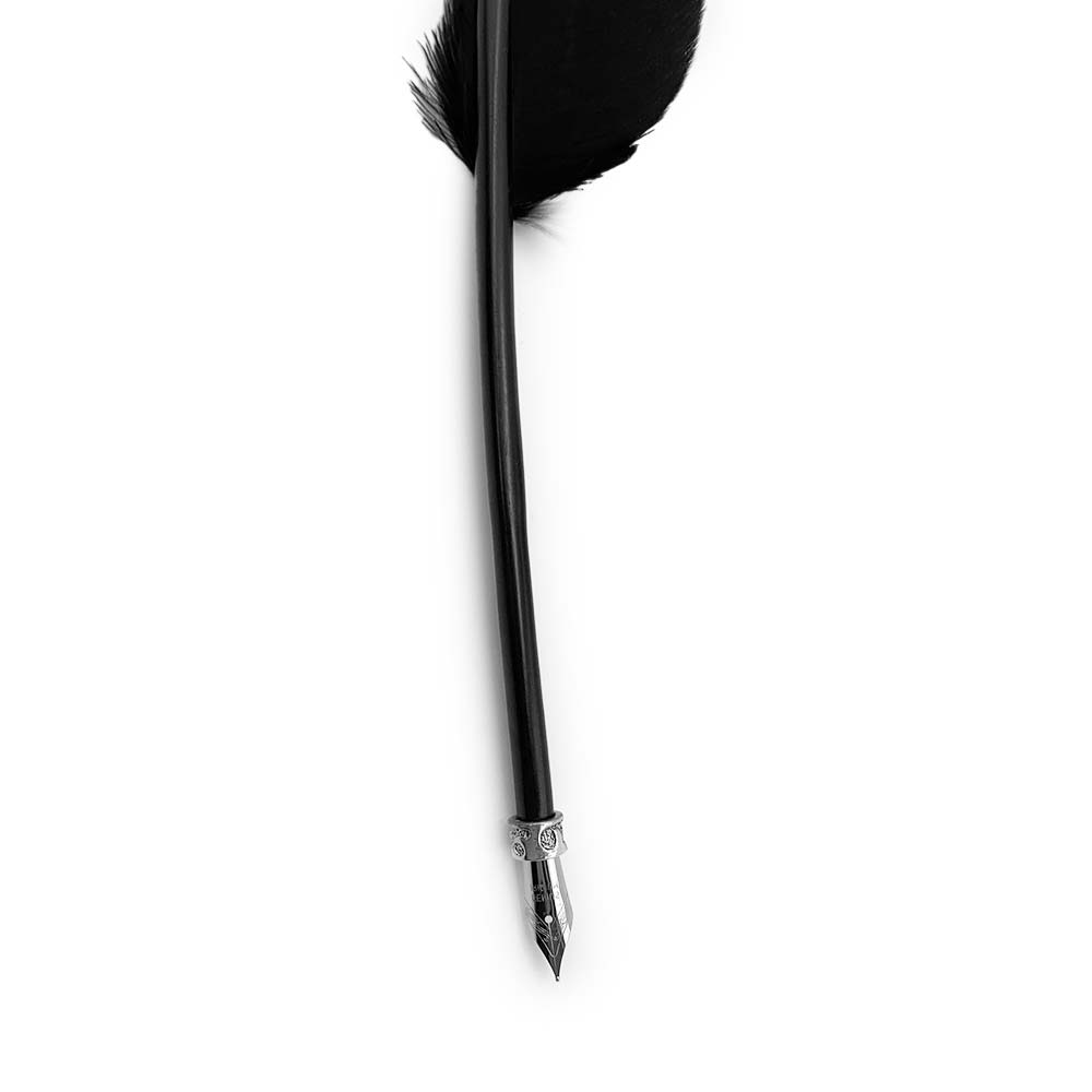 Plume d'Oie Noire - 35 à 40 cm