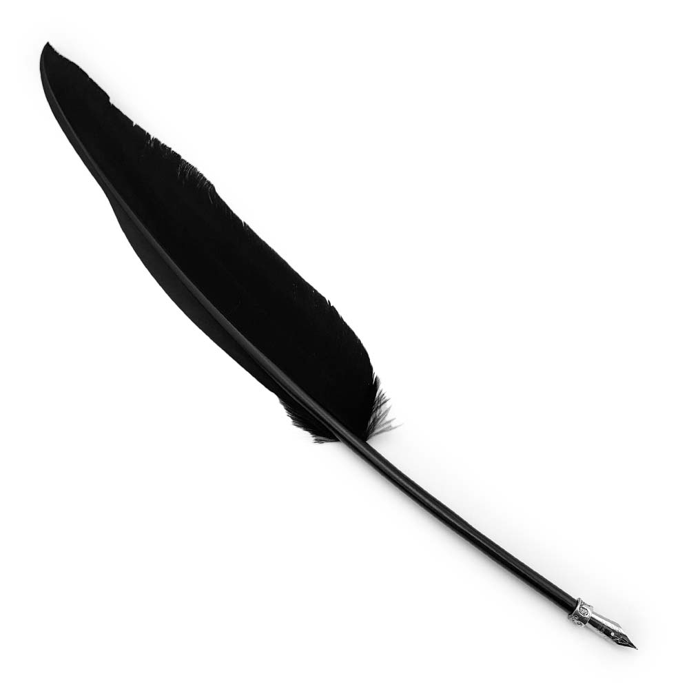 Plume d'Oie Noire - 35 à 40 cm