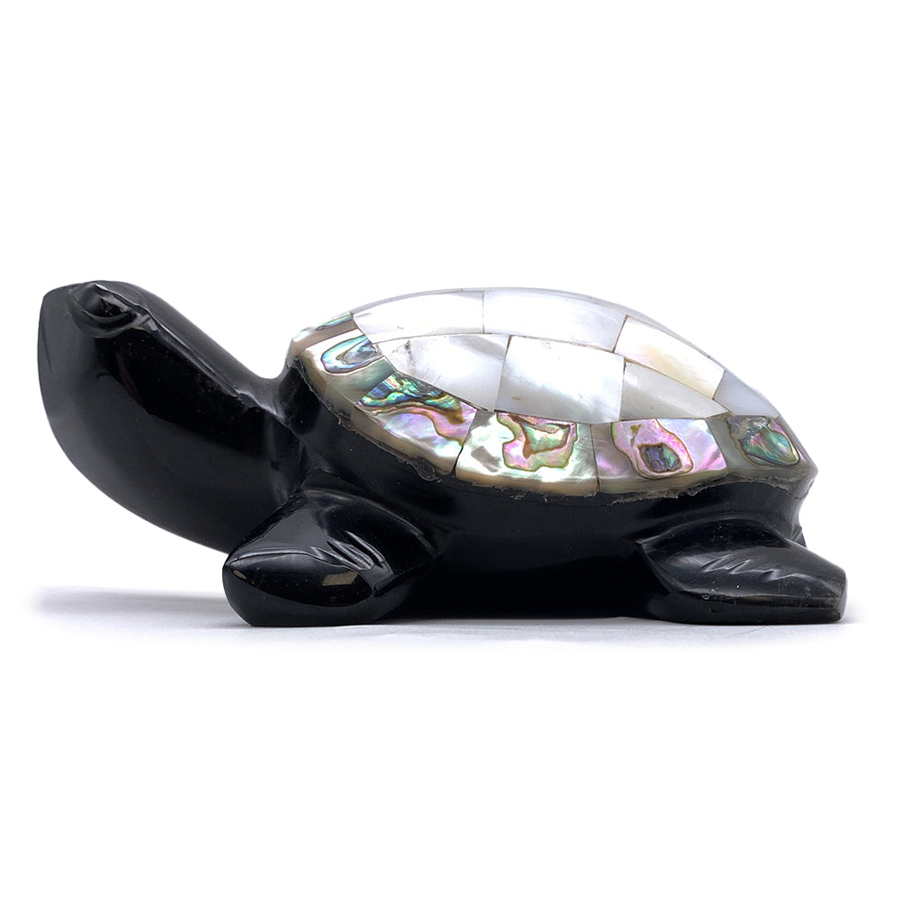 Tortue Obsidienne Noire et Nacre