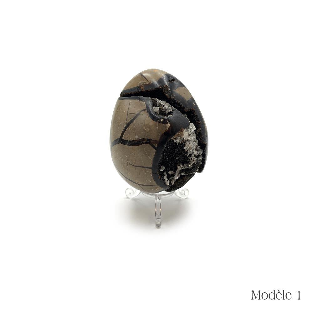 Oeuf en Septaria Sauvage - 550 g à 1,2 kg