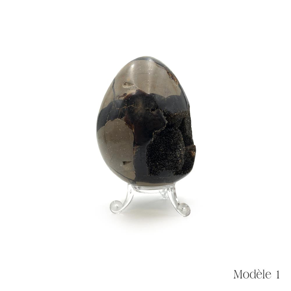Oeuf en Septaria Sauvage - 450 à 550 g