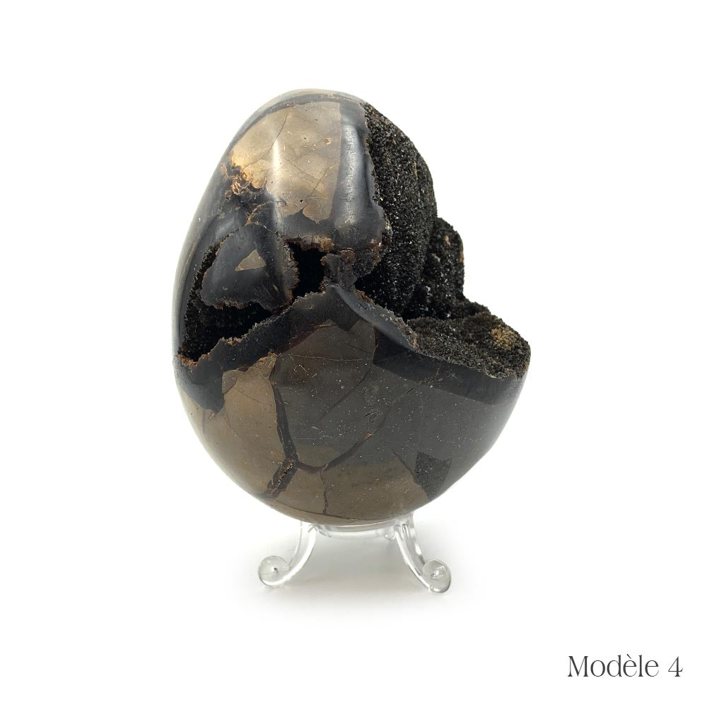 Oeuf en Septaria Sauvage - 550 g à 1,2 kg