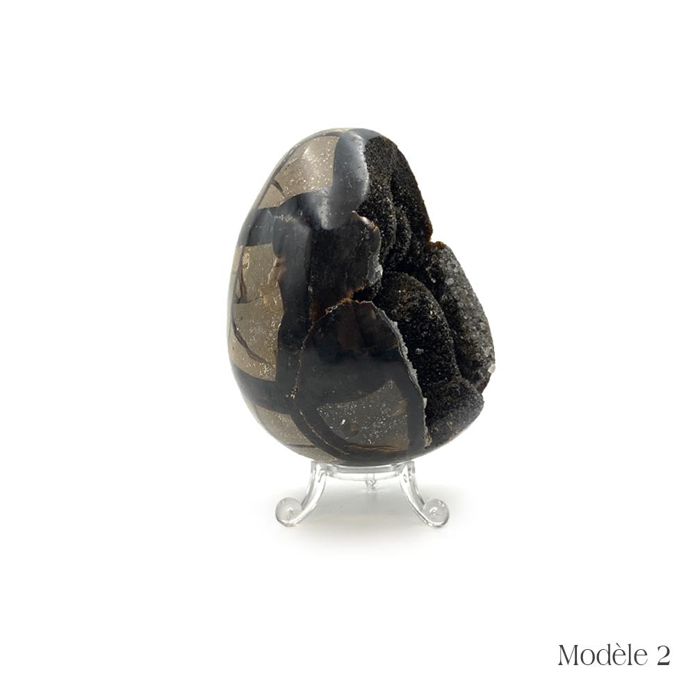 Oeuf en Septaria Sauvage - 550 g à 1,2 kg