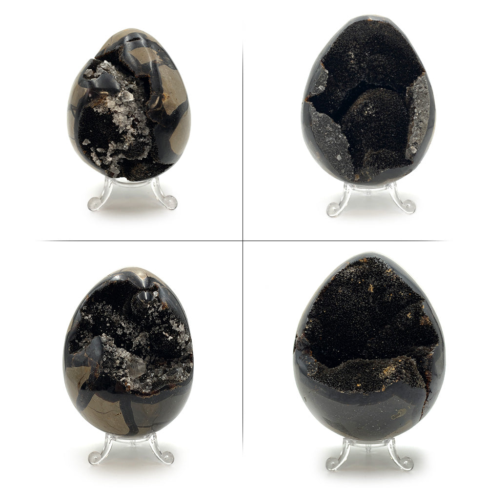 Oeuf en Septaria Sauvage - 550 g à 1,2 kg