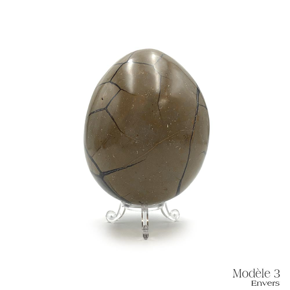 Oeuf en Septaria Sauvage - 550 g à 1,2 kg