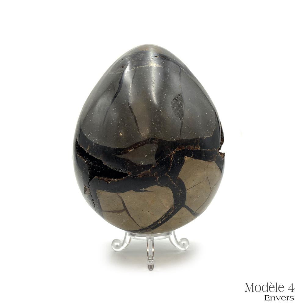 Oeuf en Septaria Sauvage - 550 g à 1,2 kg