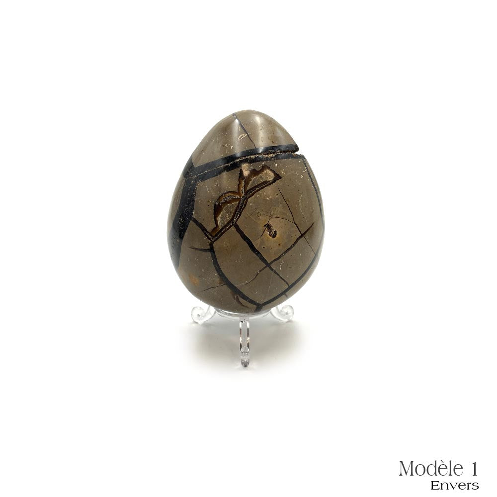 Oeuf en Septaria Sauvage - 550 g à 1,2 kg