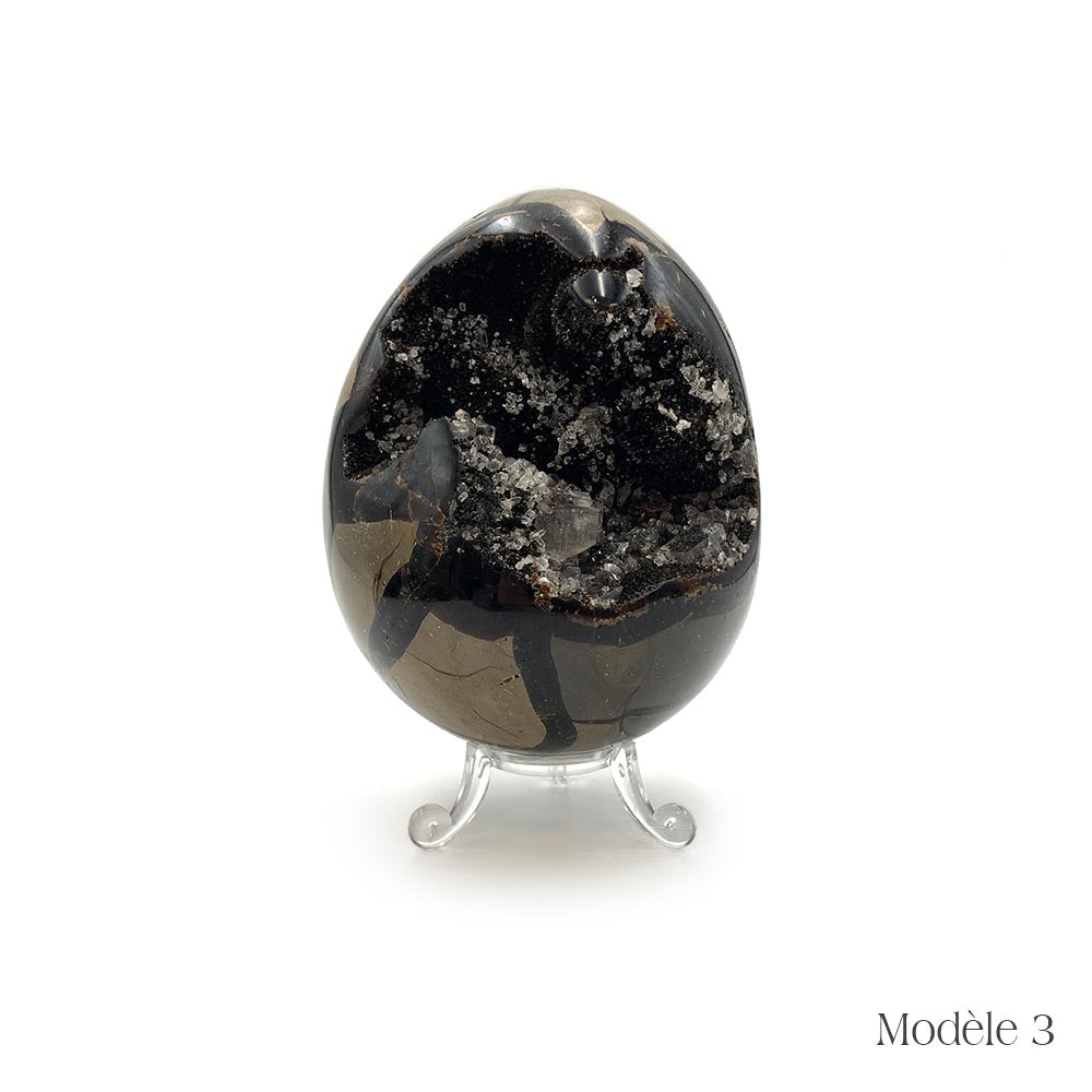 Oeuf en Septaria Sauvage - 550 g à 1,2 kg