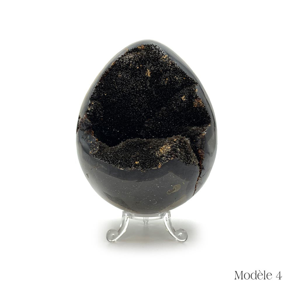Oeuf en Septaria Sauvage - 550 g à 1,2 kg