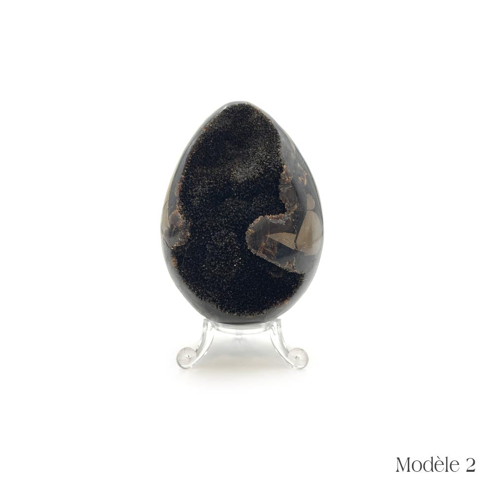 Oeuf en Septaria Sauvage - 450 à 550 g