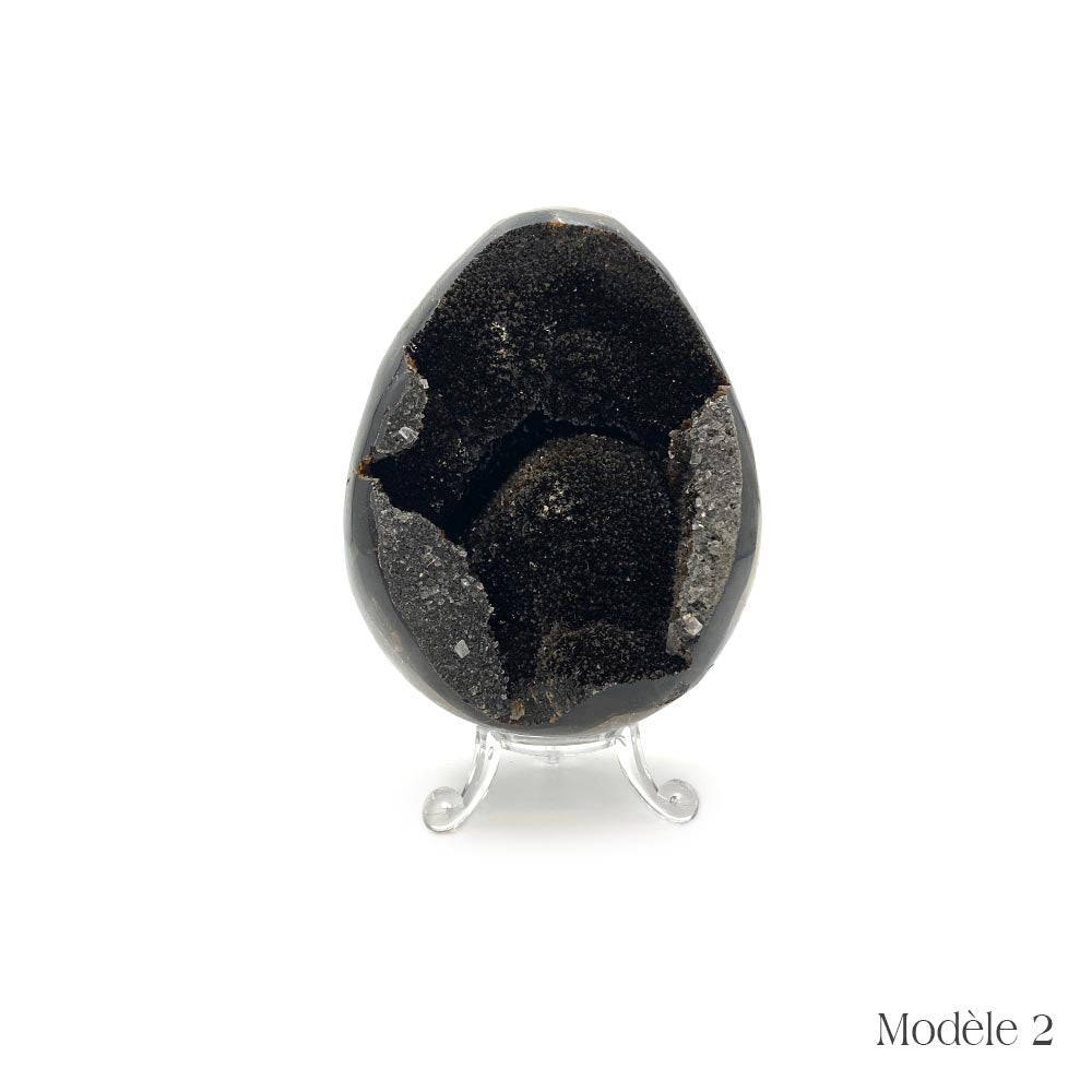 Oeuf en Septaria Sauvage - 550 g à 1,2 kg