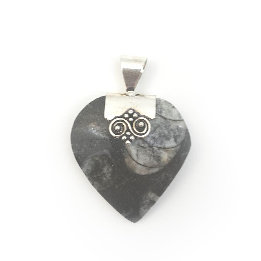 Pendentif Orthocéras