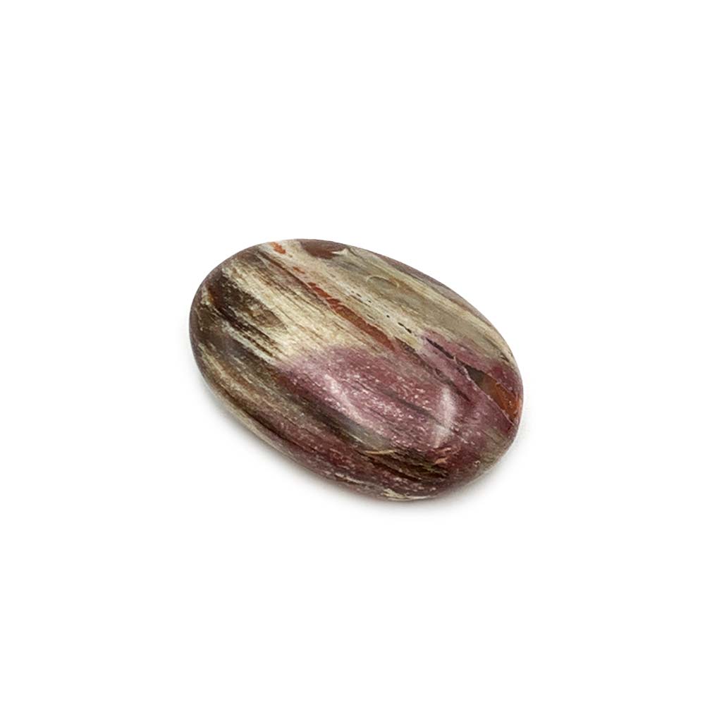 Bois Fossilisé - Galet