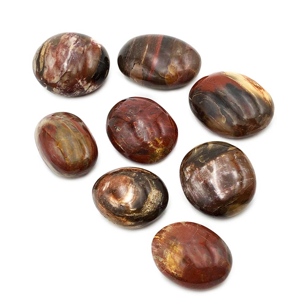 Bois Fossilisé - Galet