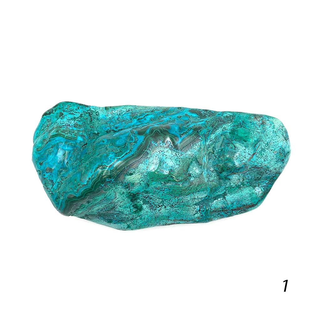 Chrysocolle Polie