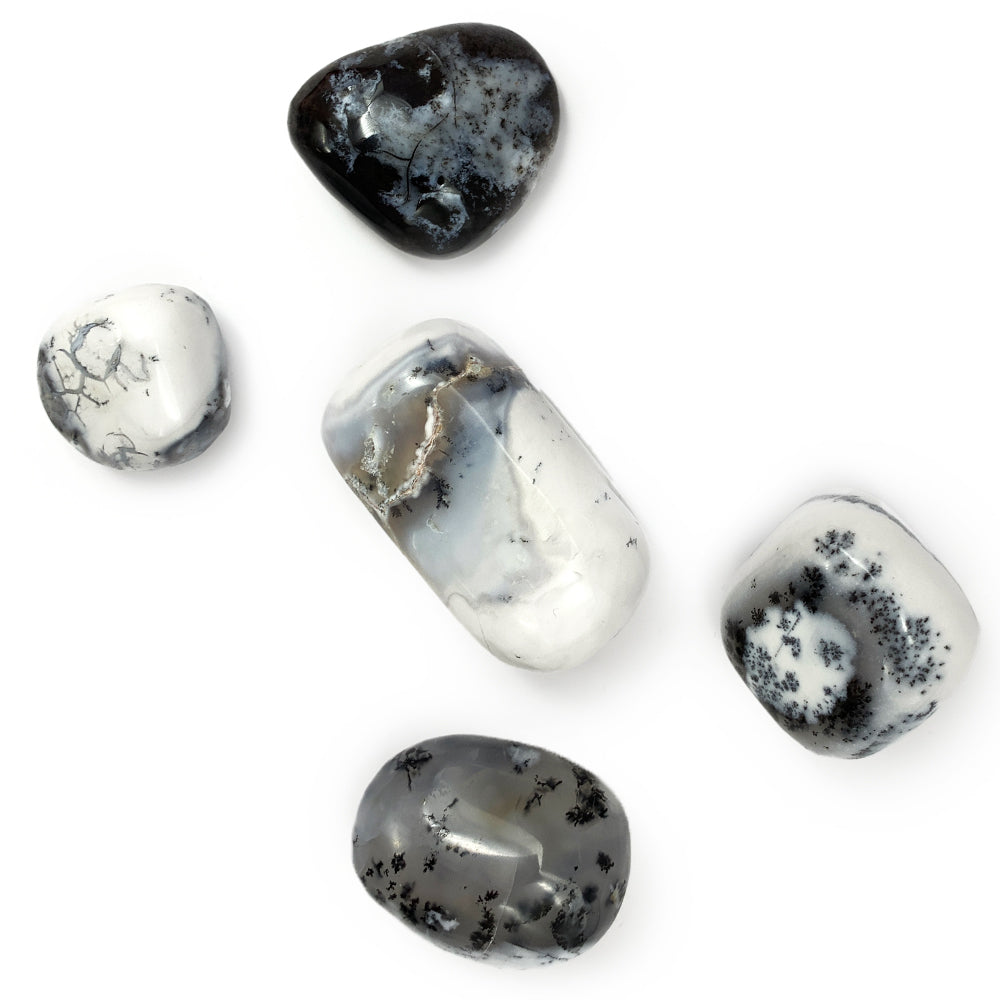 Merlinite - Agate / Opale Dendritique - Pierre Roulée