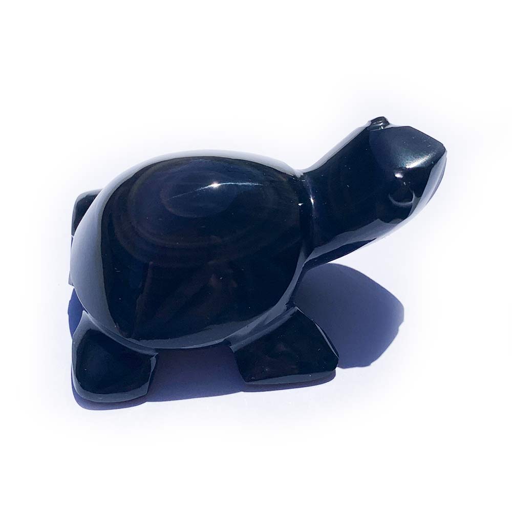 Tortue Obsidienne Oeil Céleste