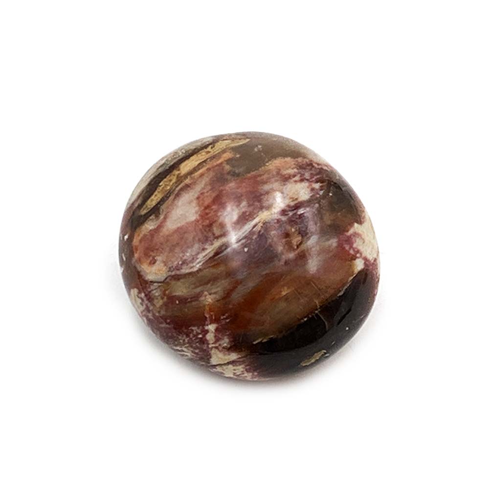 Bois Fossilisé - Galet
