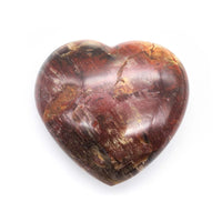Coeur en Bois Fossilisé - 8,5 cm