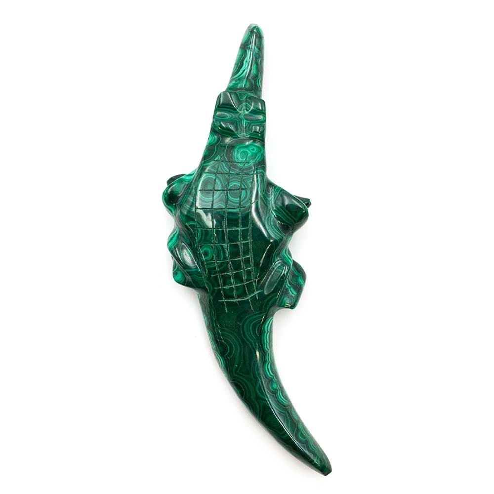 Crocodile en Malachite