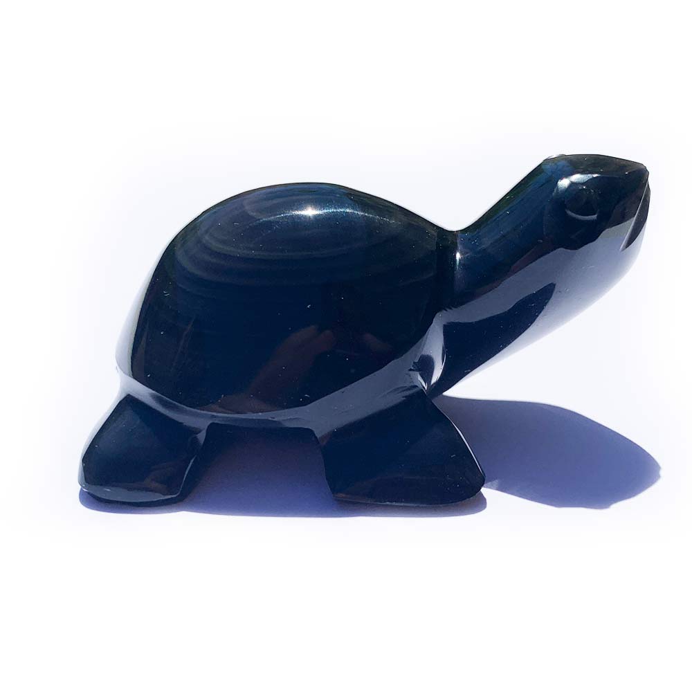 Tortue Obsidienne Oeil Céleste
