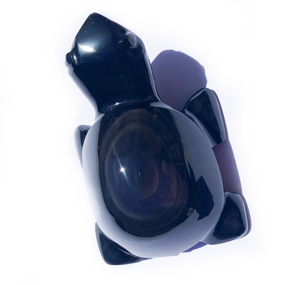 Tortue Obsidienne Oeil Céleste