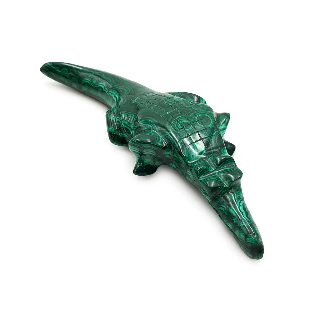 Crocodile en Malachite