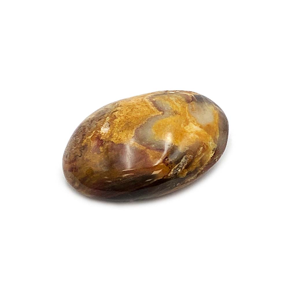 Bois Fossilisé - Galet