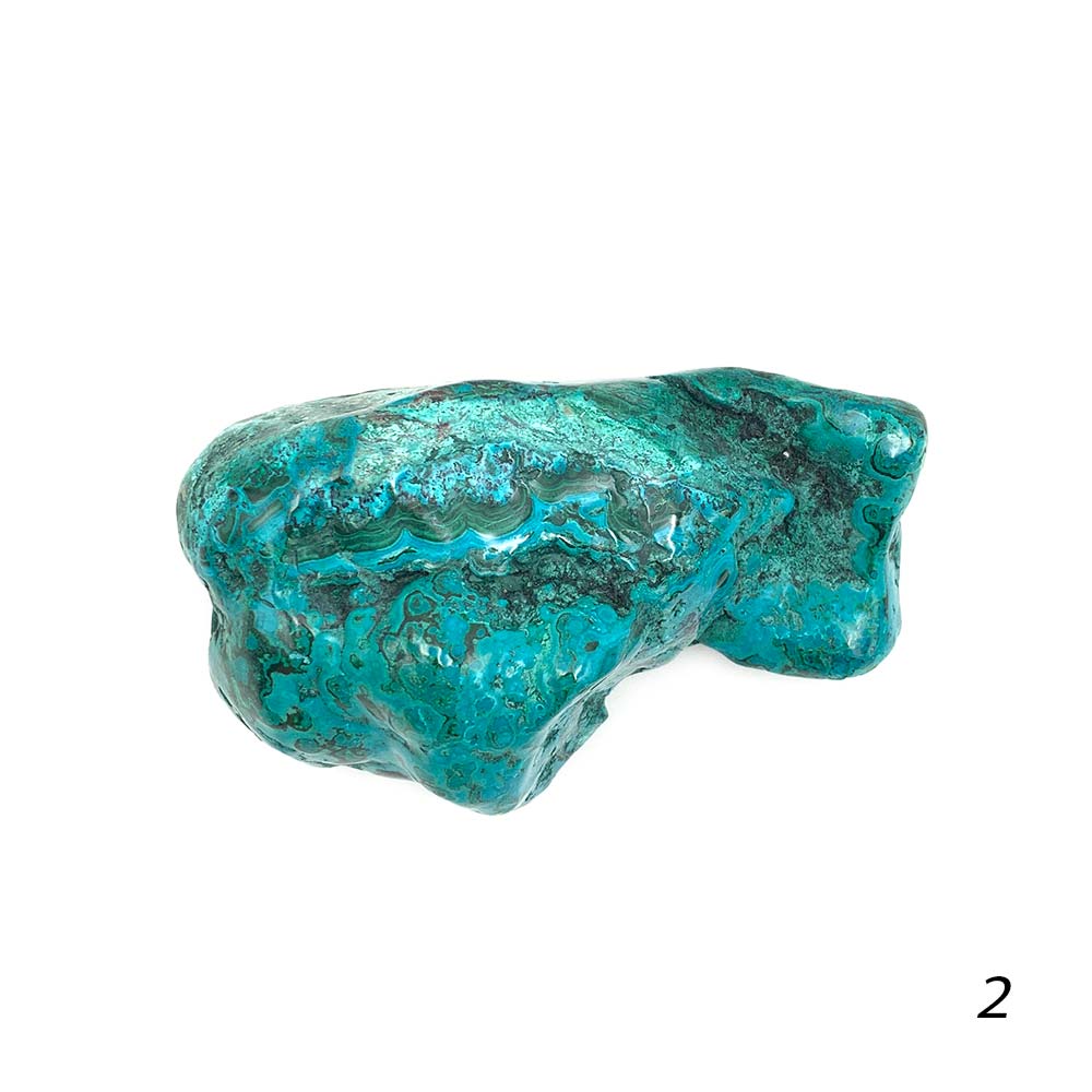 Chrysocolle Polie