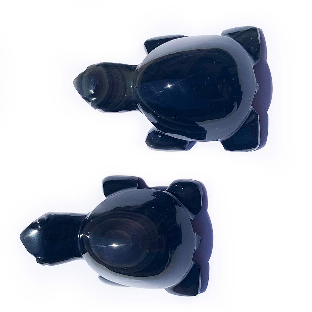 Tortue Obsidienne Oeil Céleste