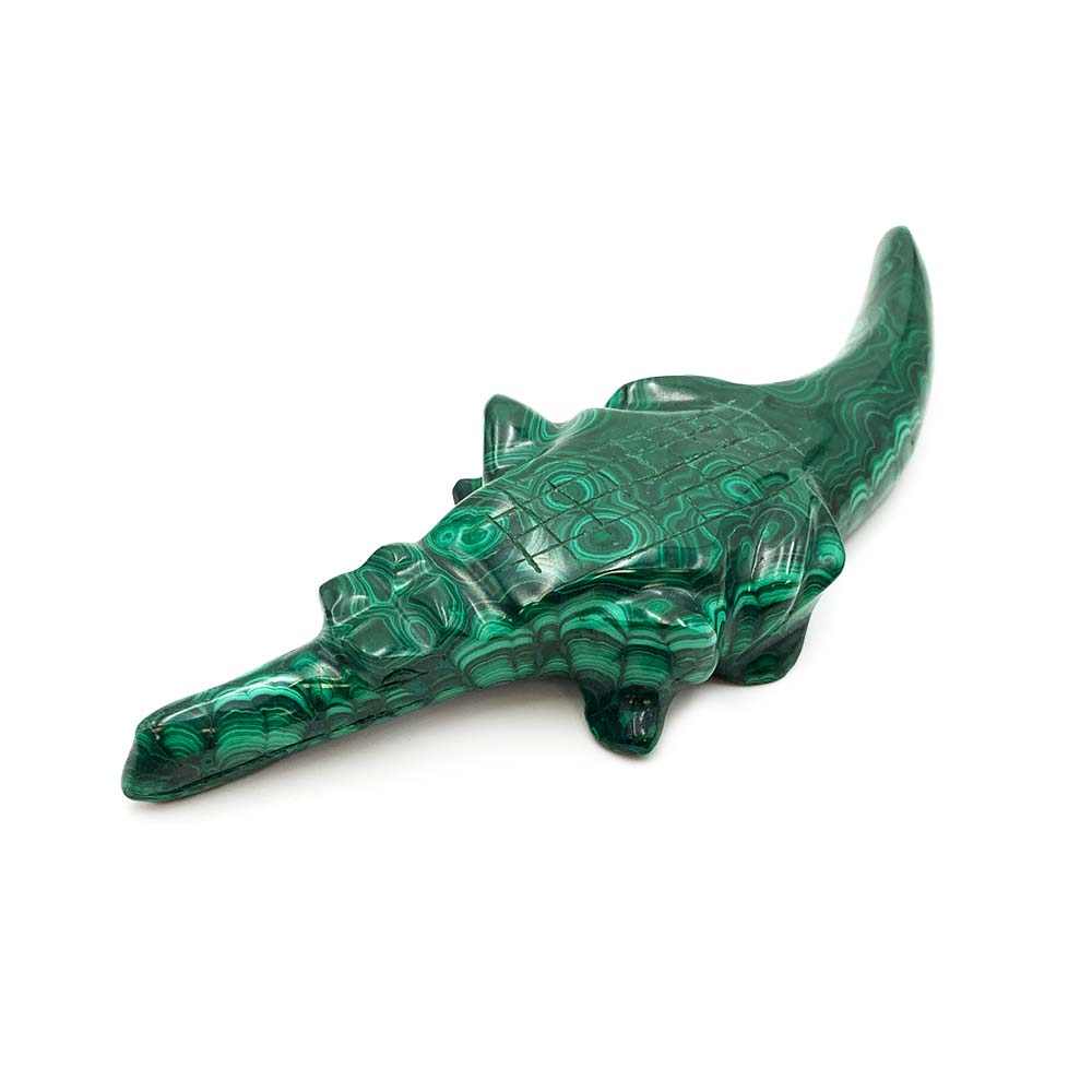 Crocodile en Malachite