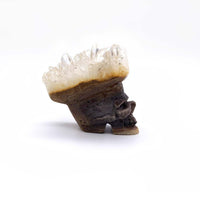 Crâne - Druse Cristal de Roche - 6 cm