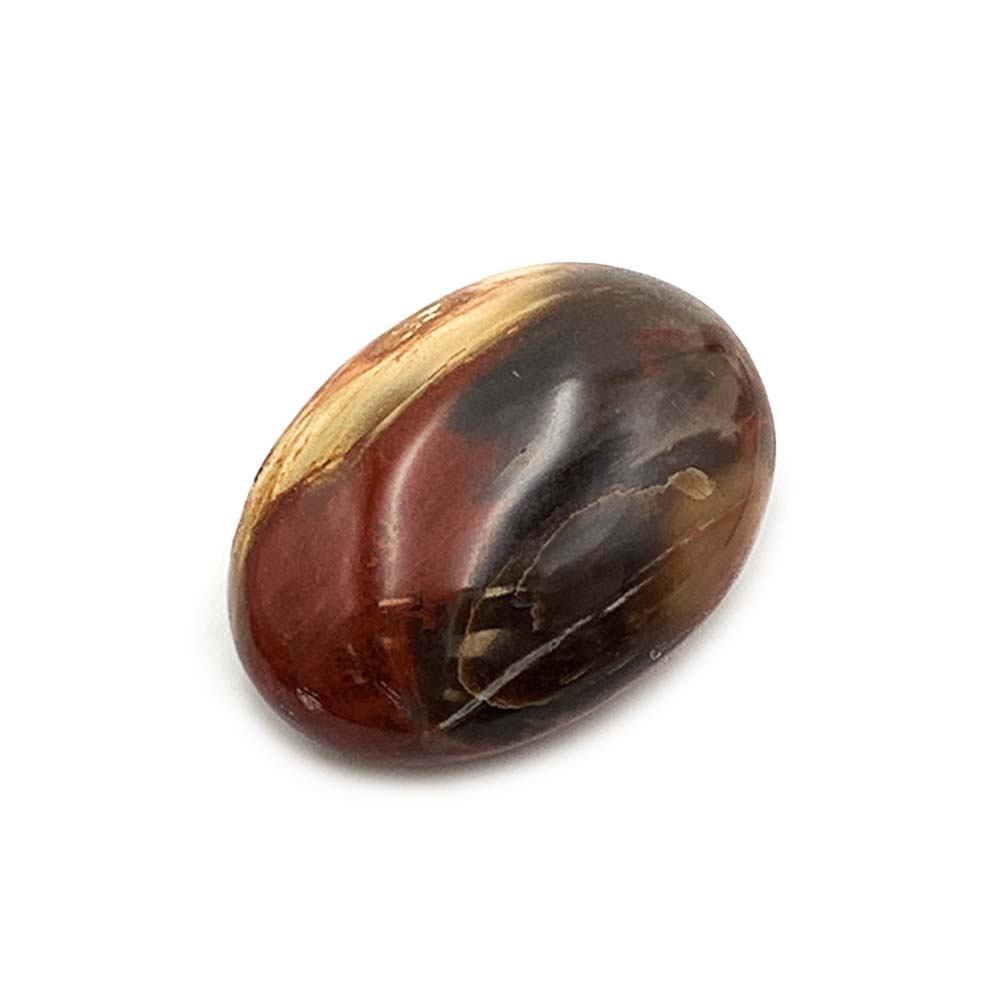 Bois Fossilisé - Galet
