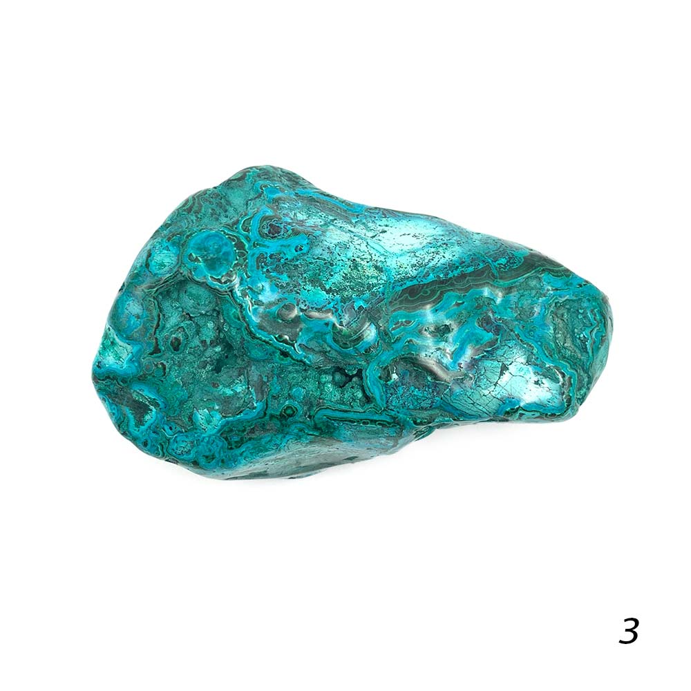 Chrysocolle Polie