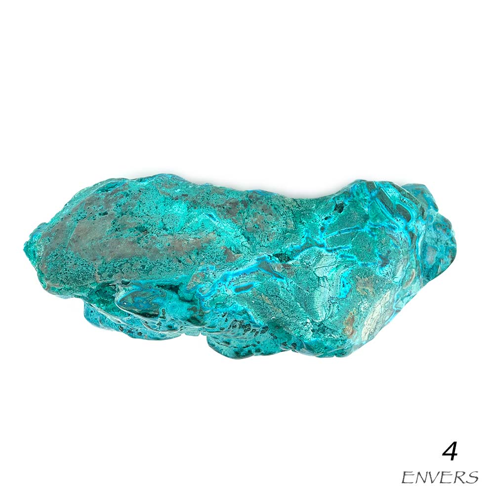 Chrysocolle Polie