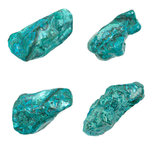 Chrysocolle Polie