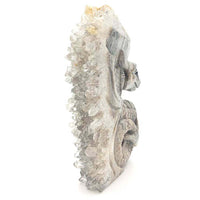 Sculpture Dragon - Druse Cristal de Roche - 13 cm