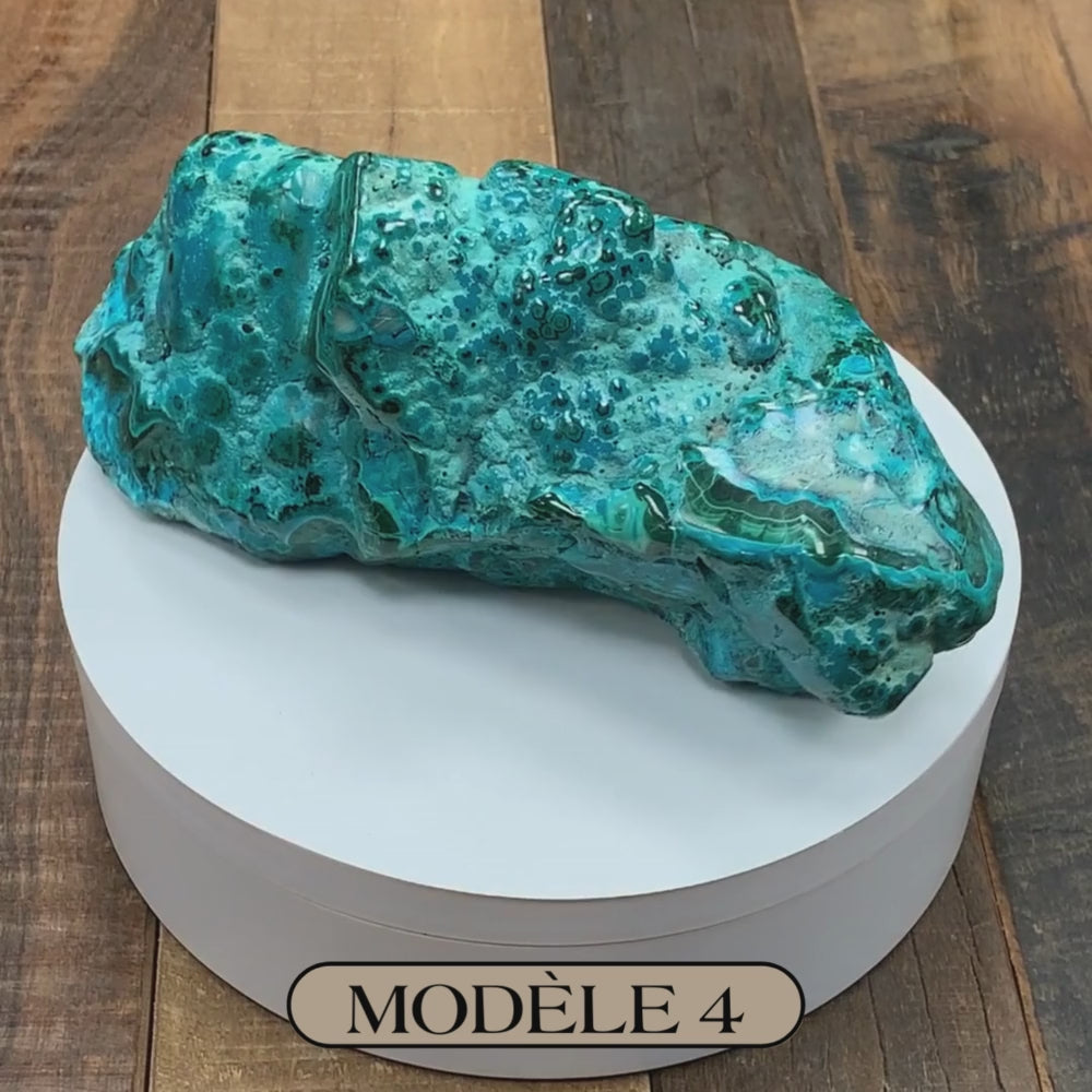 Chrysocolle Polie