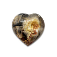 Coeur en Bois Fossilisé - 6 cm