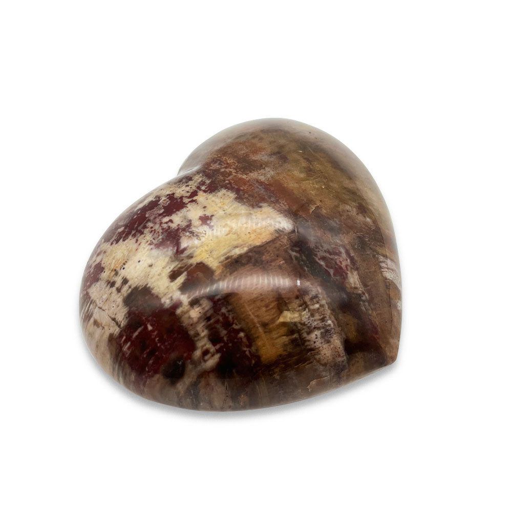 Coeur en Bois Fossilisé - 7,5 cm